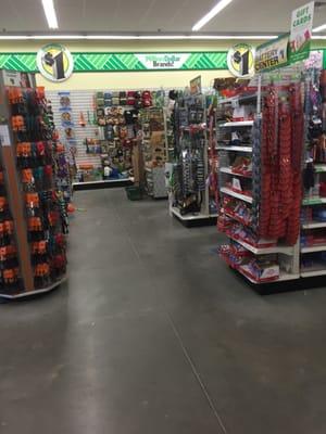 Framingham Dollar Tree -- 24 Blandin Avenue, Framingham             Interior