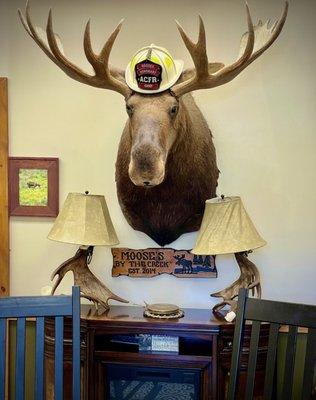 This place is big on taxidermy.