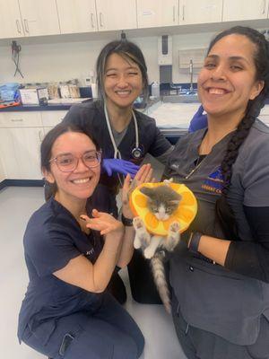 The staff posing with rescue kitten Maya.