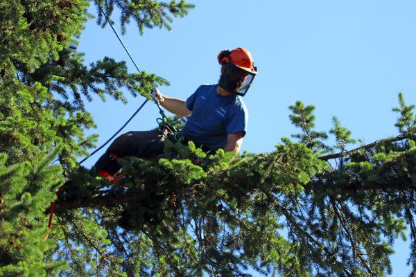 working safely in high places