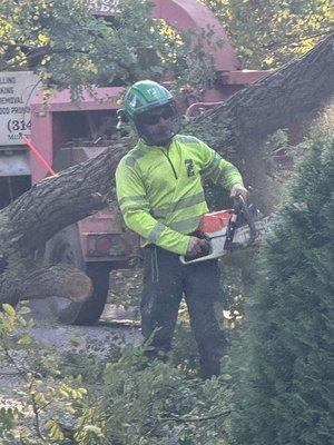 This is a photo take during a crane assisted tree removal!