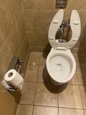 To lazy to put toilet paper on the roll?