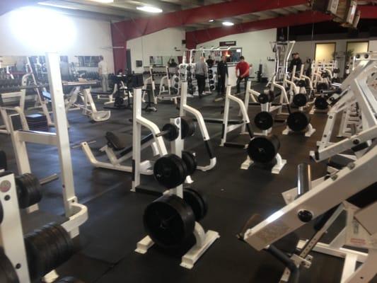 Over 6,000 lbs of Olympic weight plates.