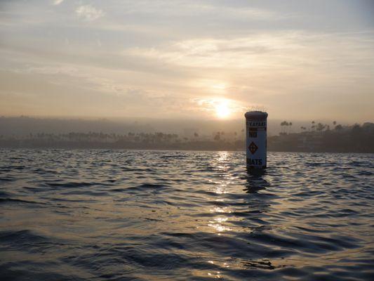 La Jolla Swim and Sport