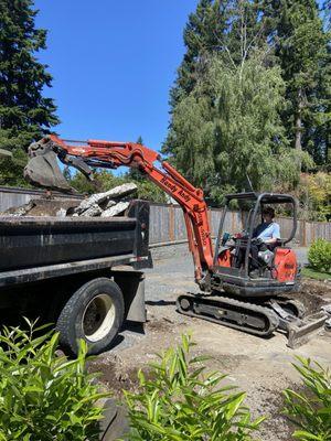 Mini Excavator