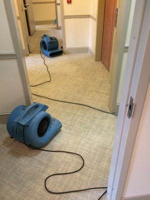 24/7 Emergency Water Damage Services