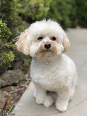 Rio showing off her fresh haircut