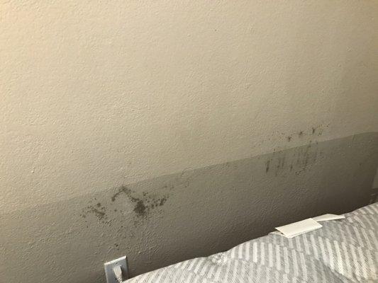 Mold on the wall in our master bedroom above the head of our bed. Why is this area even moldy?!