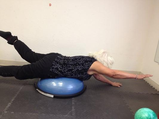 Modified Bird-dog- Over the Bosu
 Physical therapy