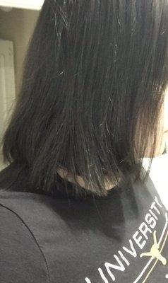 The back is long, random big pieces, and it's short in the front. This is not a blunt cut (same length of hair all around).