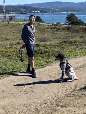 German shorthair pointer on stay command!! Thanks Bay Area Dog Walkers