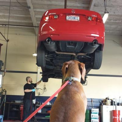 Little red keeping an eye on big red at Buzz's Honda-Acura Service.