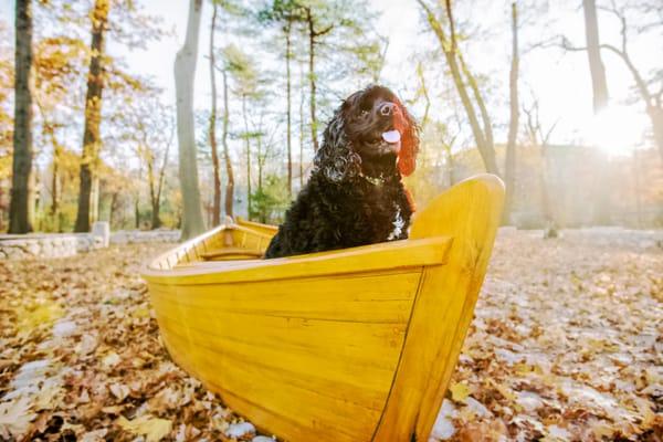 Ready to sail. Watertown, MA