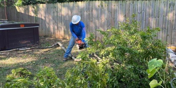 You can rely on us for professional and dedicated residential tree services.