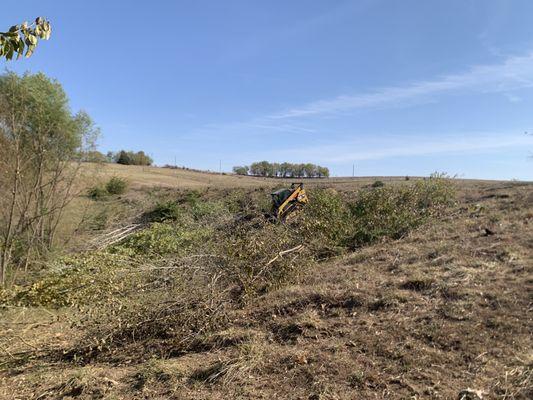 Pond dam clearing with tree saw.