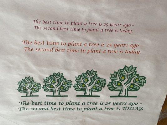 Best time to plant