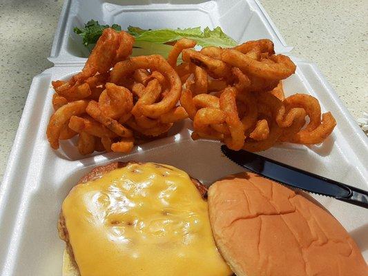 Turkey burger and fries