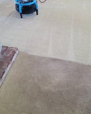 Client thought they would need to replace carpet.