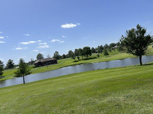 Lucious greenery and some water you want to avoid with your golf ball.