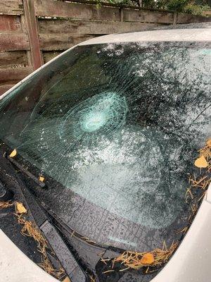 Smashed windshield exterior