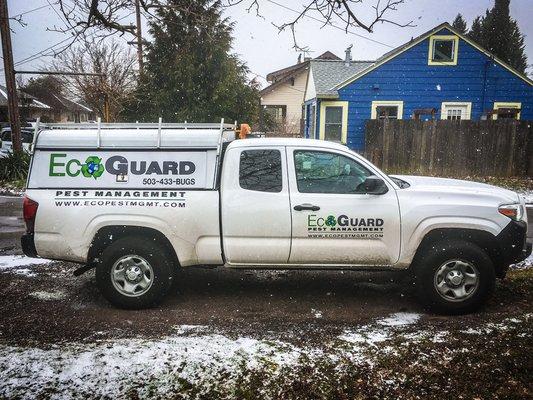 We offer general pest maintenance, rodent mitigation and we exterminate infestations. Call us today! Rain, snow or shine!