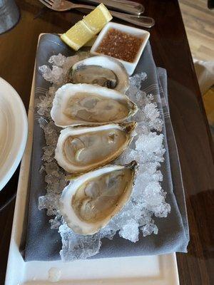 A mix of oysters