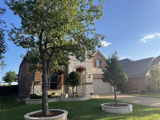 Ornamental tree trimming