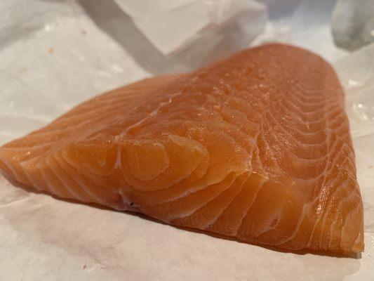 Skuna salmon filet