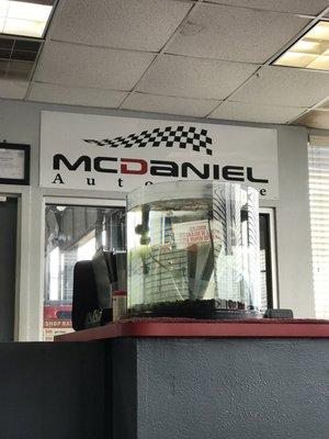 McDaniel Auto Care where they take care of your car needs.