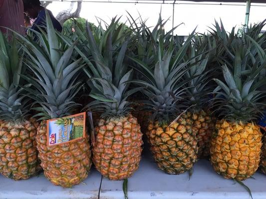 Pineapples for all participants at the finish line