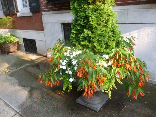 Center City Planter