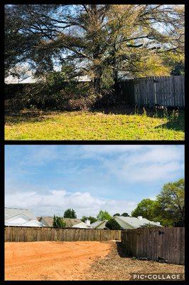 Dangerous tree removal for new construction.