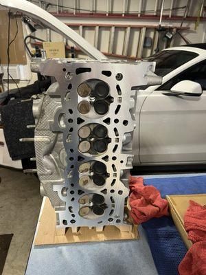 Cylinder Head Exchange