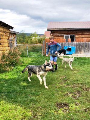 Kennel tour