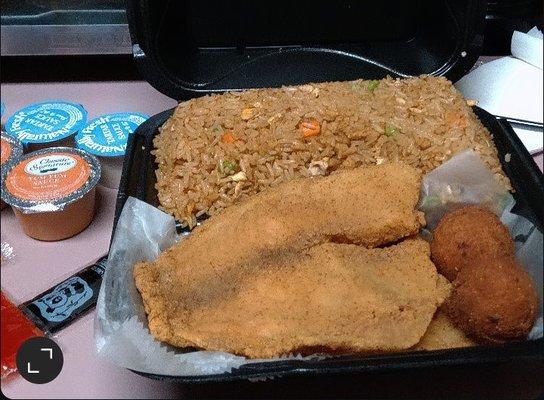 2 Pieces Fish & Rice Combo