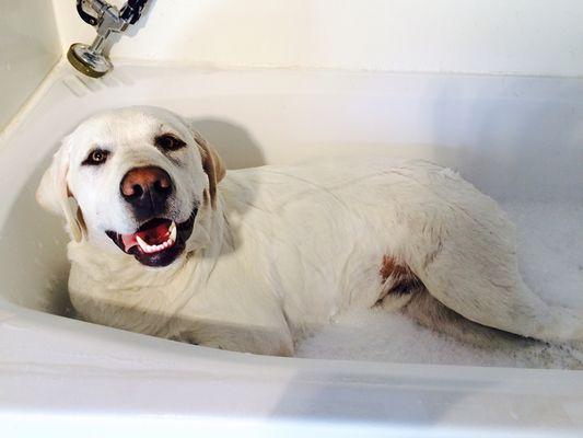 Cotton bubbles bath.