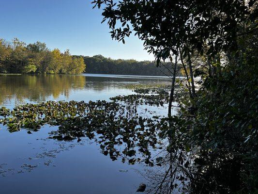 The lake behind the campground