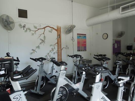 Cycling Studio