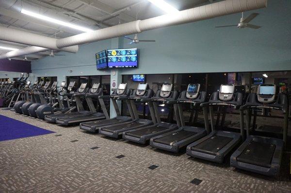 Variety of Cardio Machines