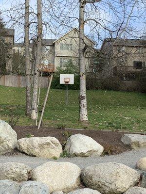 Basketball court