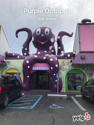 Purple Octopus