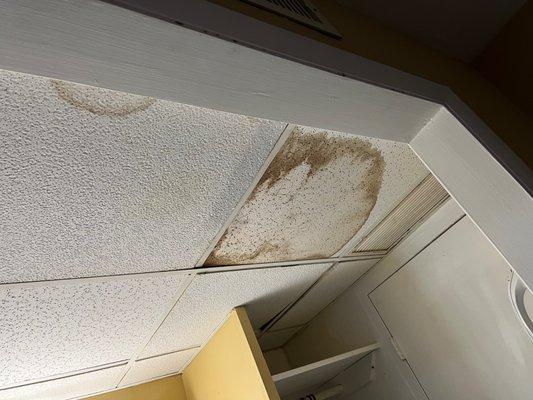 Ceiling Tiles show signs of leaks, moisture and mold.
 We used an entire can of Lysol throughout the room.