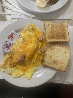 nasty omelette