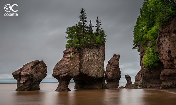 Hopewell Rocks, Canada