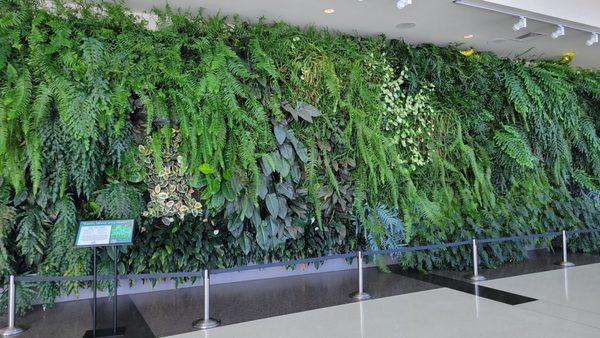 Living wall