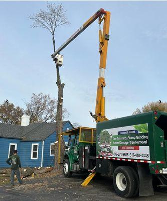 United Tree Services