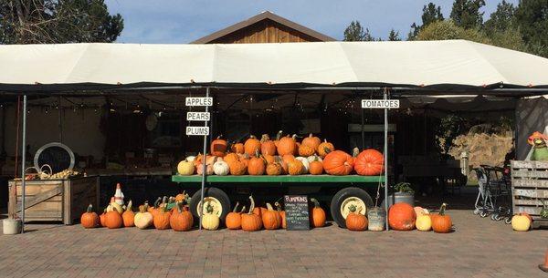 Our summer and fall (May-November) set up outside!