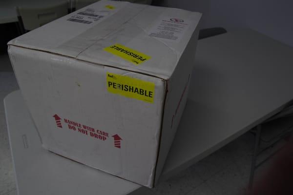 Overnight shipping for live fresh Maine Lobster