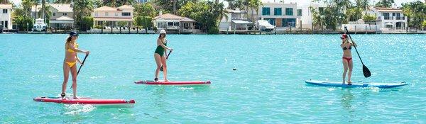 Paddle Board Rentals