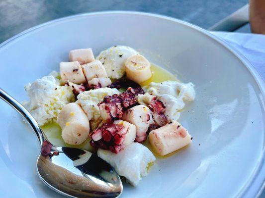 Warm Octopus and Fresh Mozzarella